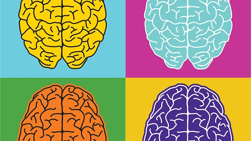 Brain name