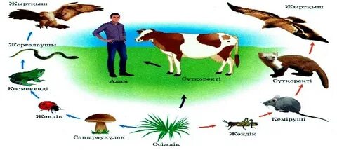 Транссексуалдар сперму в ауызе онлайн