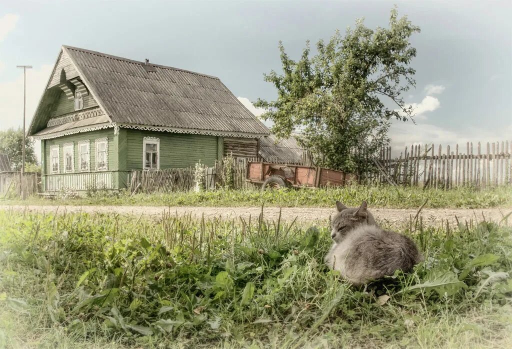 Деревня Заупора Батецкий район. Уномерь Батецкий район деревня. Деревня Раджа Батецкого района Новгородской области. Новгородская область деревня Заупора.