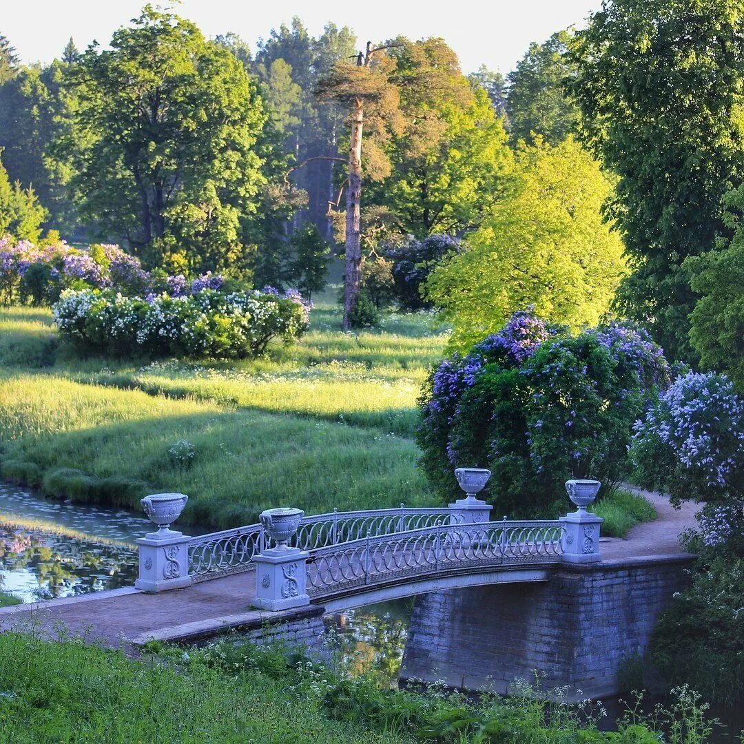 Летний сад русский музей санкт-петербург. Летний сад в санкт-петербурге 2022. Летний сад в санкт-петербурге. Парк летний сад в санкт-петербурге. Павловский парк павловск.