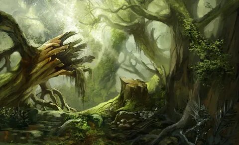 Deep forest
