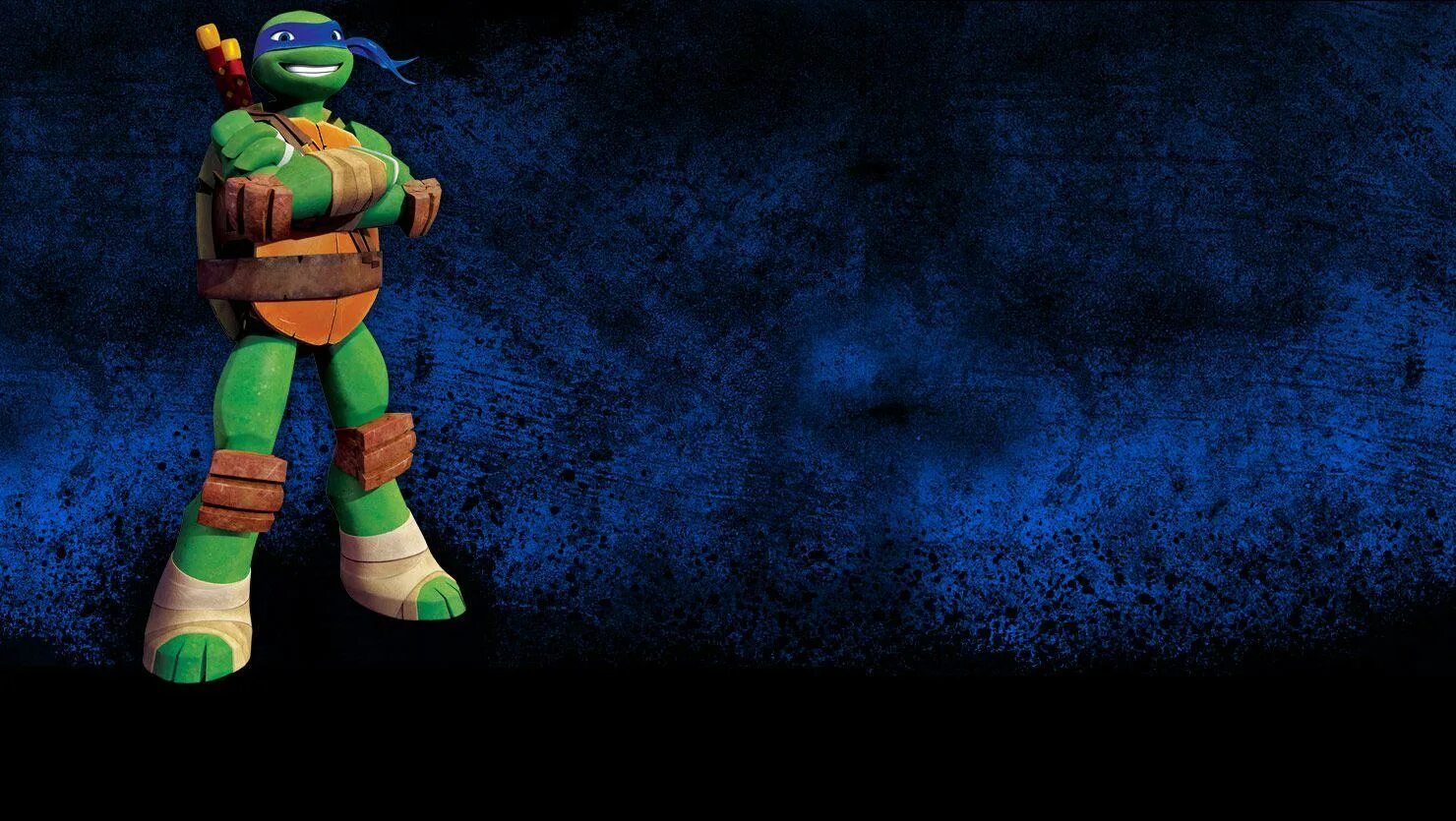 Tmnt leo