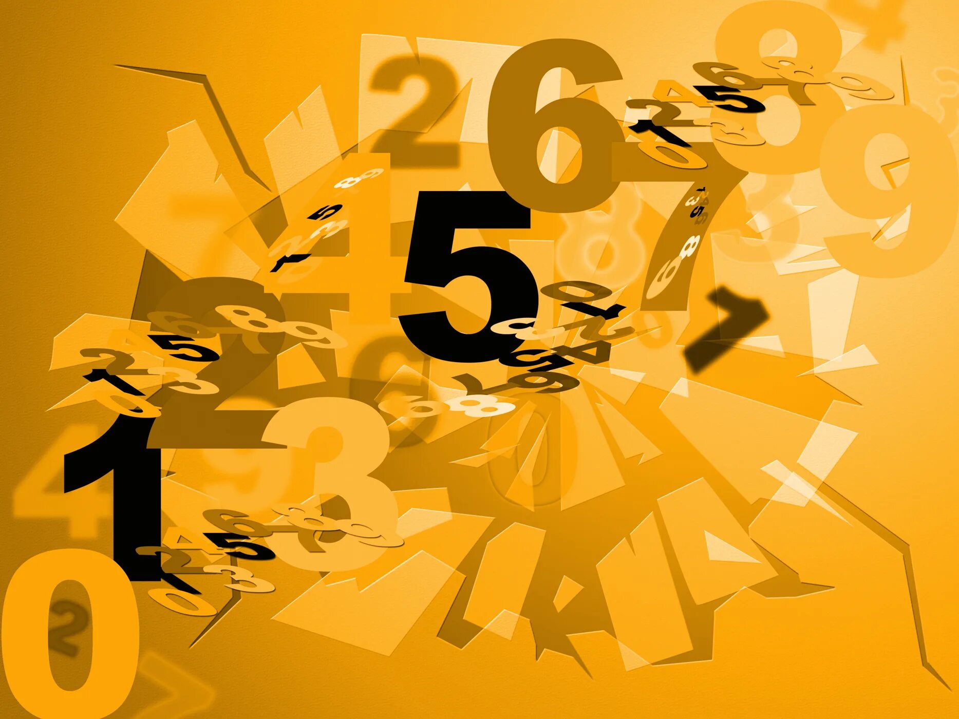 The number show numbers