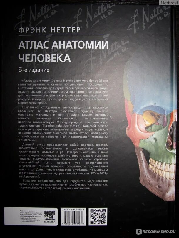 Фрэнк Неттер анатомия 6 издание. Атлас Фрэнка Неттера 7 издание. Анатомия Фрэнка Неттера. Атлас анатомии Фрэнк Неттер 6 издание.