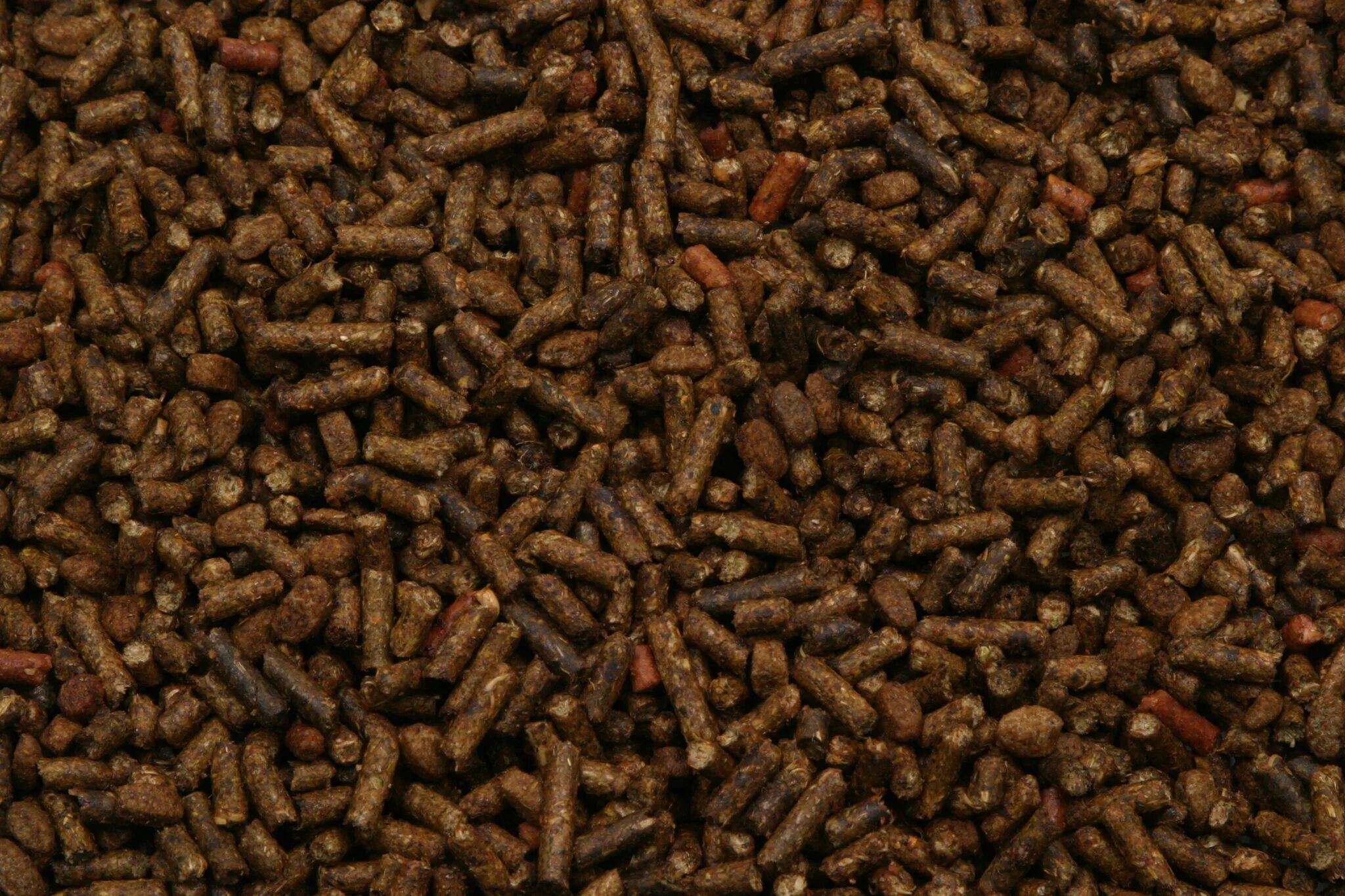 Complete feed. Horse feed. horse food. feeding horse.