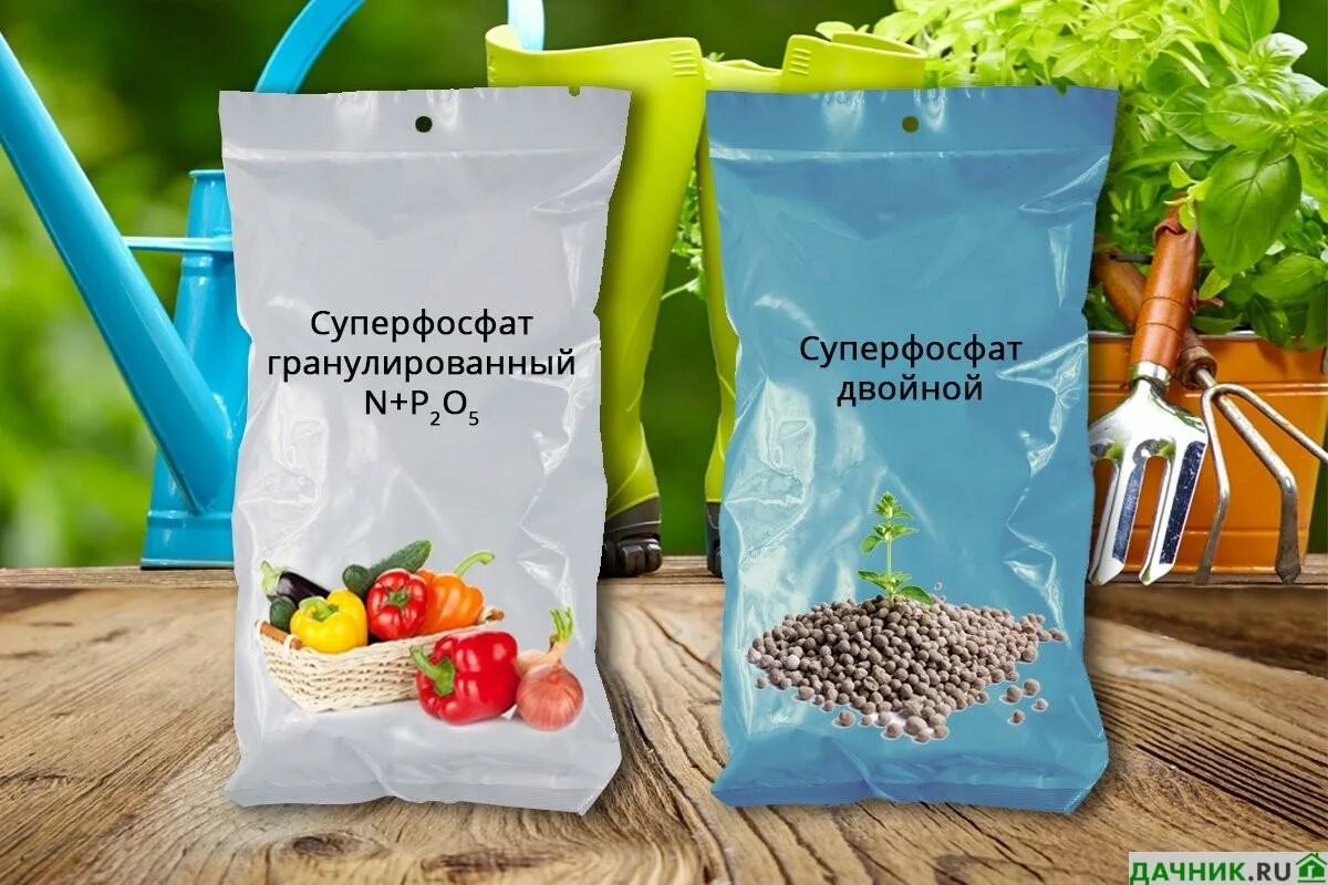 Применение суперфосфата на огороде