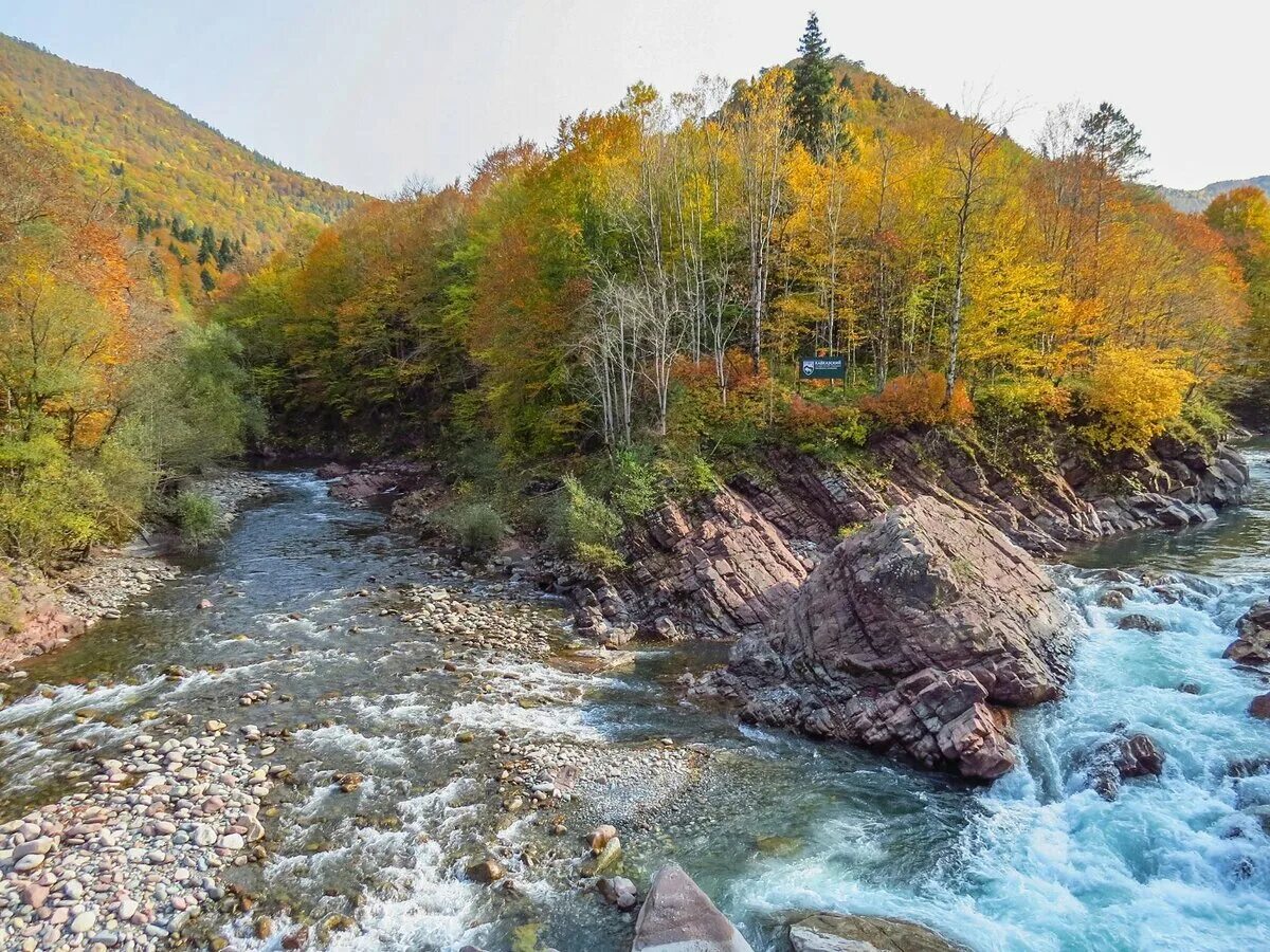 Гузерипль река Курджипс. Гузерипль Лагонаки. Гузерипль река белая. Река белая Адыгея Гузерипль. Река киша