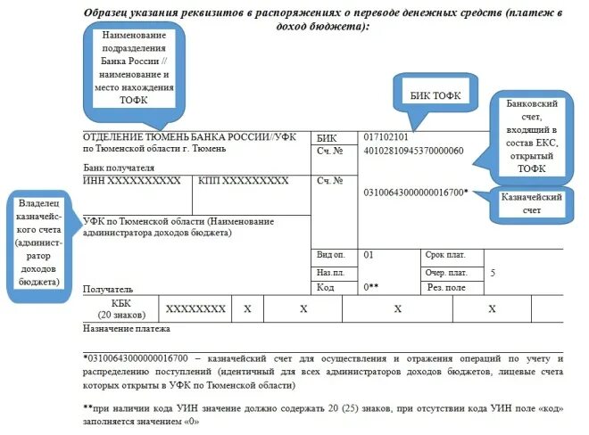 Бик тофк. УФК по Тюменской области реквизиты. Управление федерального казначейства по Тюменской области. УФК по ЯНАО. Реквизиты пенсионного фонда РФ.