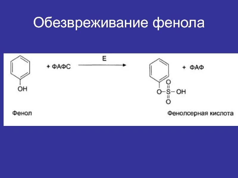 Напишите реакции фенолов