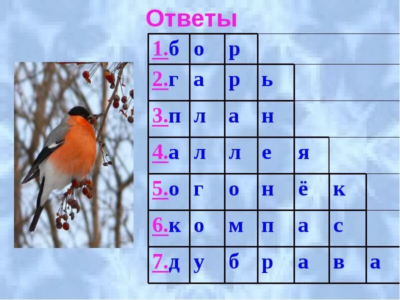 Снегирь для детского кроссворда. Вопросы про снегиря. Кроссворд про снегиря. Вопрос для кроссворда с ответом Снегирь. Сугроб сканворд