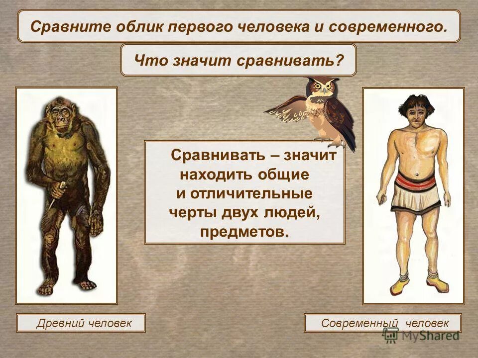 древний и современный человек. характерные черты древнейших людей. появление первобытных людей 6 класс кратко. характеристика первобытного человека. австралопитек характерные черты.