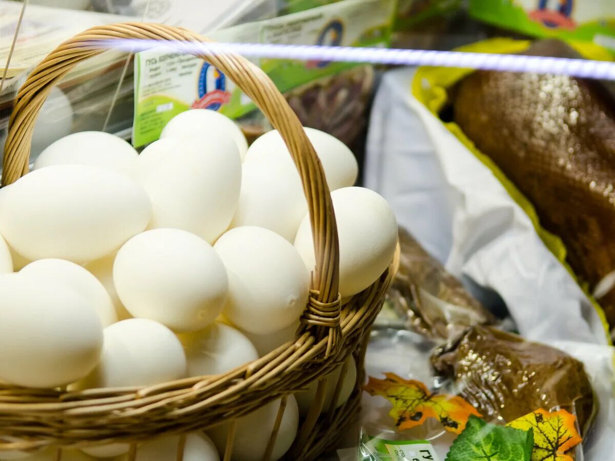 14 октября всемирный день яйца. Яйца и яичные продукты. Яички куриные. Кольцо яйцо овоскопирование. Пищевая ценность яичного белка куриного.