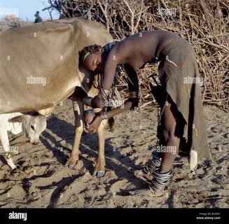 A Samburu mother wears an ochred goatskin cape ready for milking a cow the ...