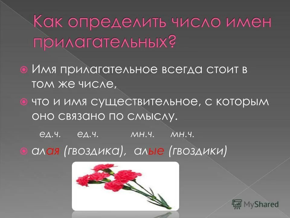 стружки единственное число