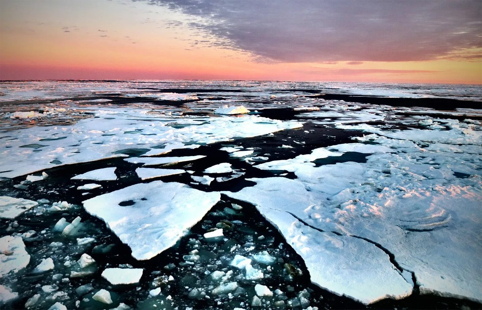 Северный Ледовитый океан Восточно-Сибирское море. Восточно Сибирское море ледовитость. Восточносибирсое море. Моря Восточно Сибирское Карское.