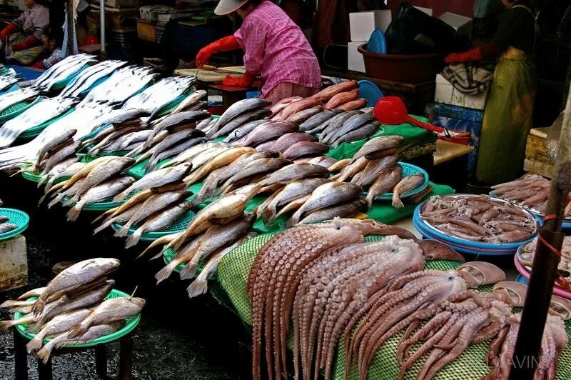 Купить рыбу во владивостоке. Ухань Китай рыбный рынок. Рыбный рынок Бали Джимбаран. Оптовый рынок морепродуктов Хуанань. Рыбный рынок Владивосток.