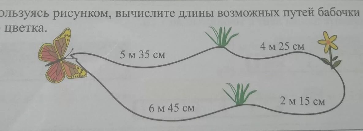 Пользуясь рисунком. Используя рисунок, Найди значение � � FG.. Задания покажи путь бабочки стрелками на рисунке. Используя рисунок скажи чей путь.