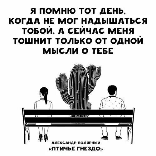 Мысли тебе передам. От некоторых людей тошнит. Меня тошнит от тебя цитаты. Тошнит от лицемерия. Меня тошнит от вас цитаты.