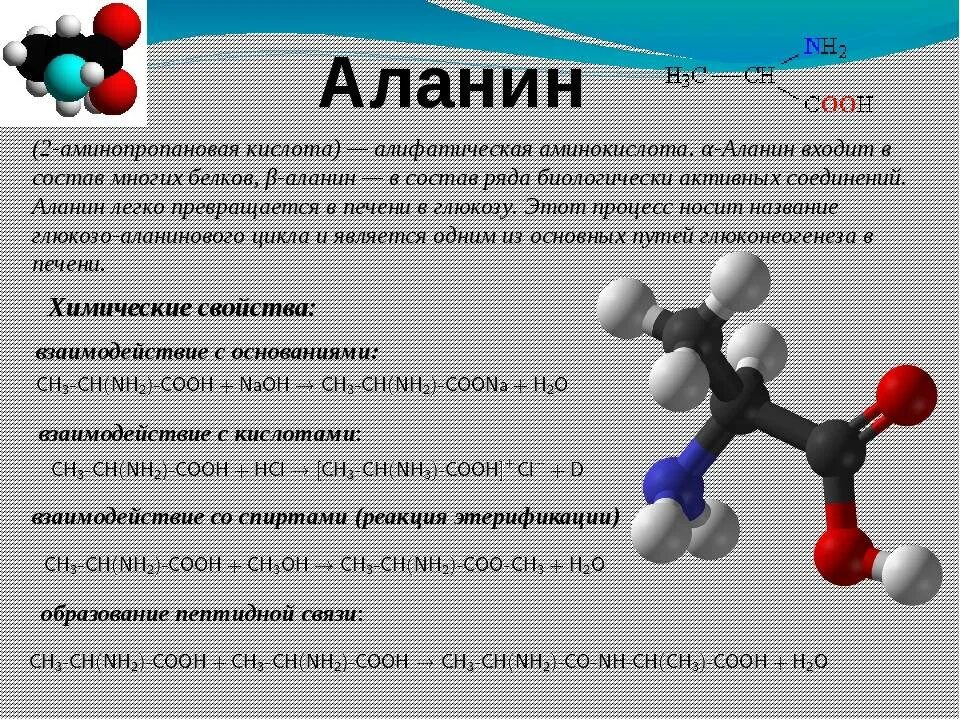 Кислотно основные аминокислоты. 2 Аминопропановая кислота химические свойства. Аланин химические свойства. Аланин характеристика химия. Химические свойства Алинина.