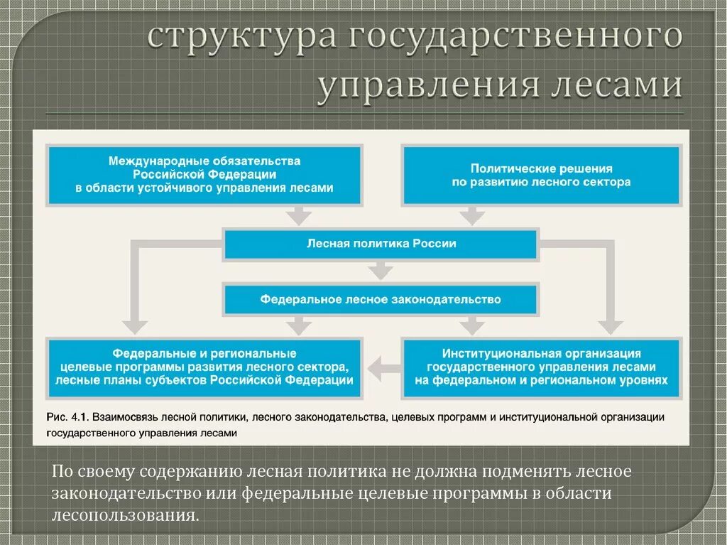 Механизмы и ресурсы государственного управления. Структура государственного управления. Структура управления лесным хозяйством. Система государственного управления лесами. Структура управления лесами.