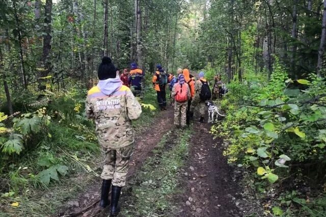 Заблудился в тайге. Затерявшиеся в тайге. Пропавшие экспедиции в тайге.