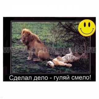 Гуляй с ней