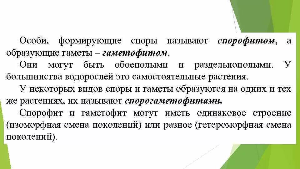 Спорофит водорослей. Какие особи называют спорофитами. Какие особи называются спорофитами а какие гаметофитами. Какие особи водорослей называют спорофитами а какие гетерофитами.