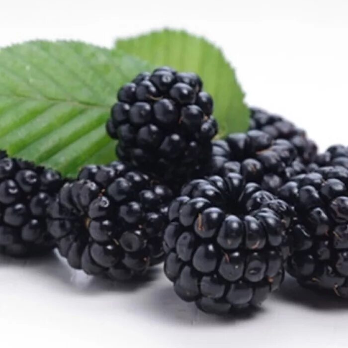 мармелад лесные ягоды. мармелад ежевика мармелатье. мармелад ежевика и малина haribo. мармелад со вкусом ежевики 3d, 400г tp74472.