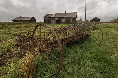 Село треть