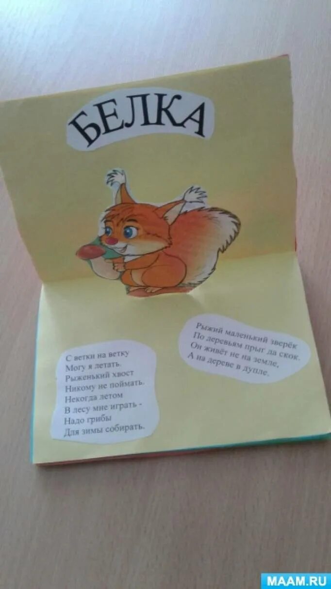 Книжка самоделка для детского. Книжка малышка своими руками про животных. Книжки малышки про животных. Книжки малышки про животных. Книжка малышка загадки.