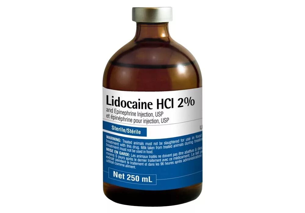 Лидокаин внутривенно что будет. Лидокаин ветеринарный. Лидокаин флакон. Лидокаина гидрохлорид флакон. Лидокаин животным.