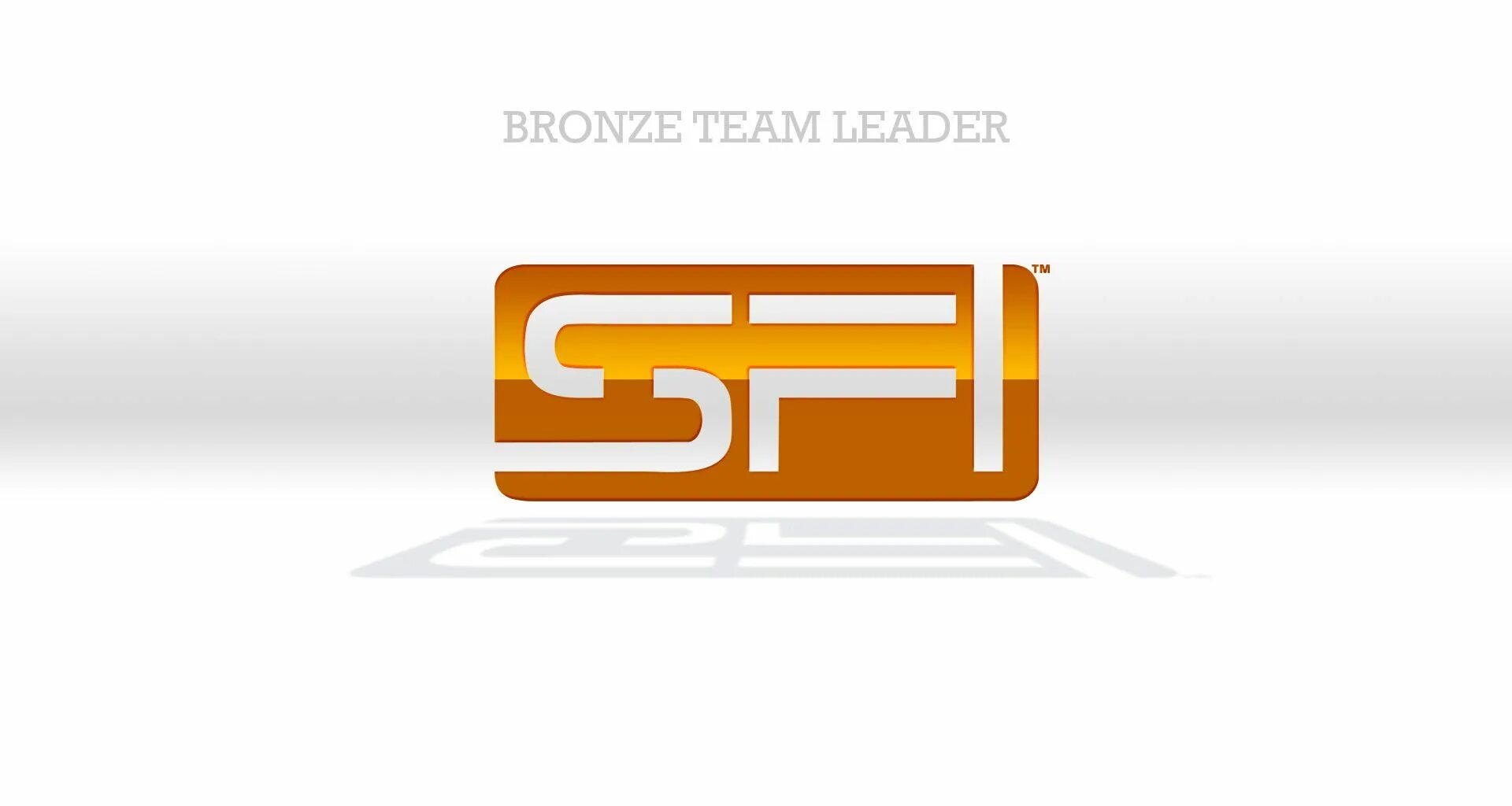 SFI логотип. SFI Холдинг. Система SFI Group. Brazen Team.