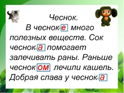 Чеснок разбор по составу
