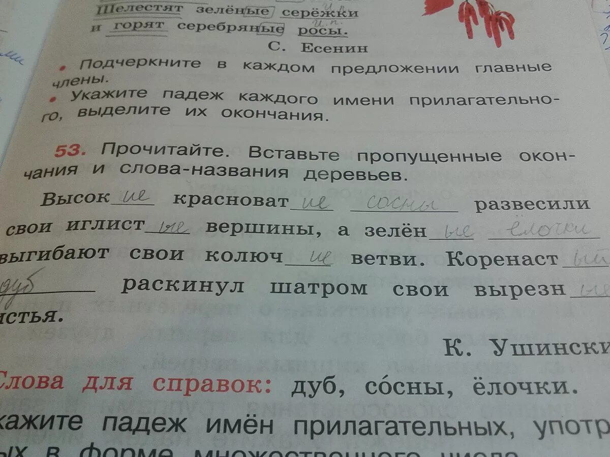 Однокоренные имена прилагательные мужского рода осень. Прочитайте вставьте пропущенные слова. Прочитайте вставьте пропущенные слова названия. Прочитай названия деревьев. Прочитай вставь пропущенные окончания.