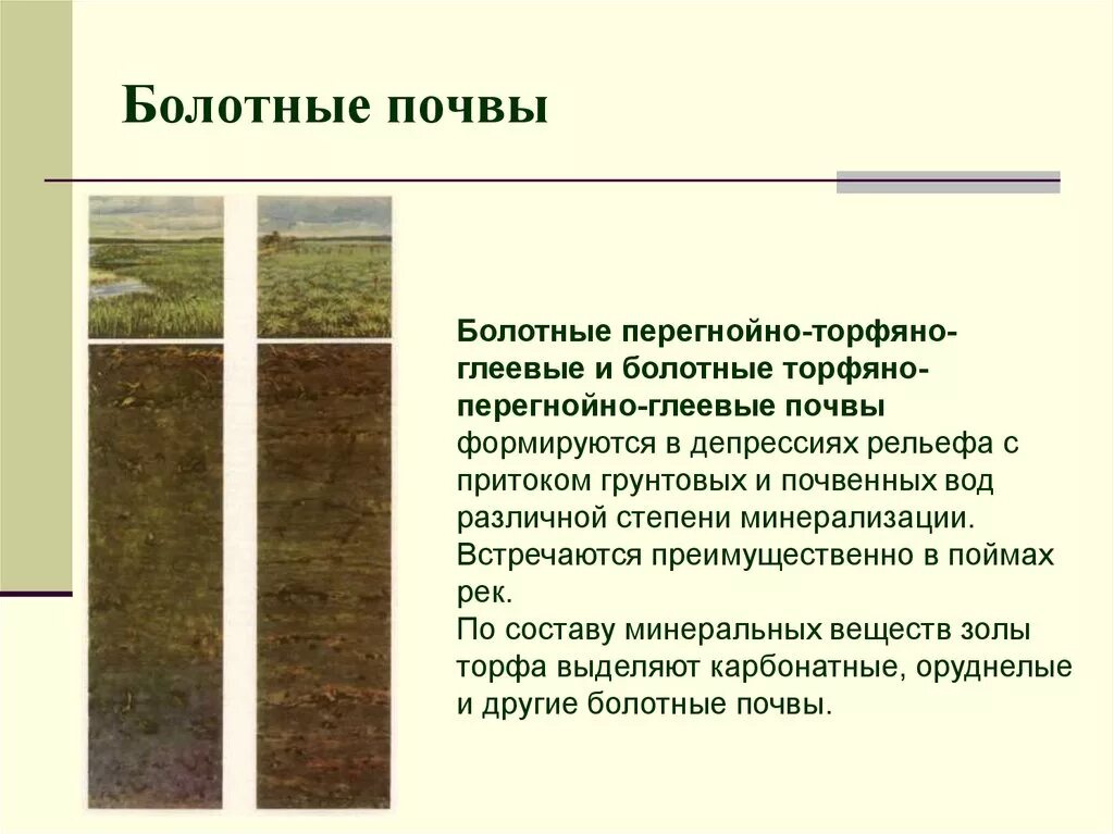 Комплексы почв. Болотные торфяно глеевые почвы плодородие. болотные глеевые почвы. болотные торфяно глеевые почвы характеристика. болотно торфяные глеевые почвы характеристика.