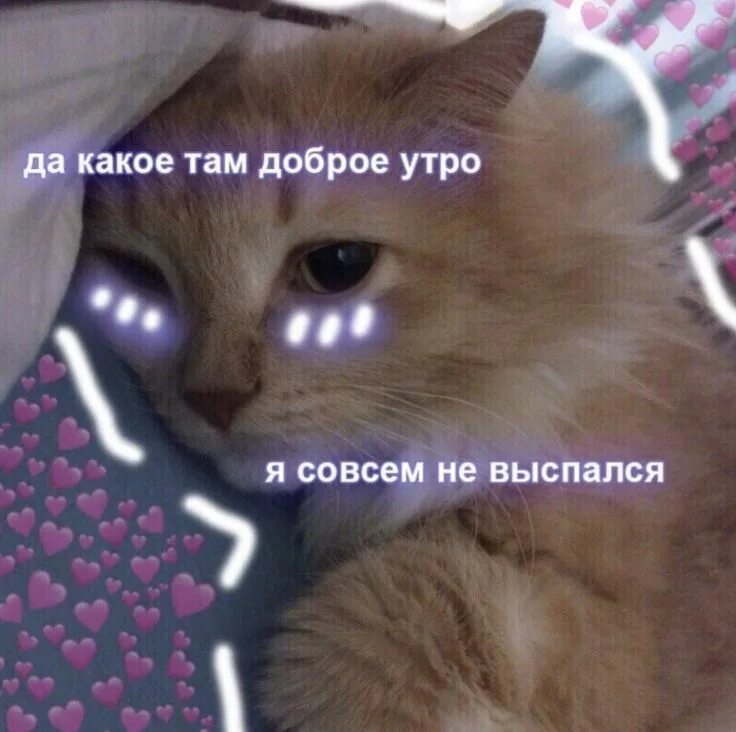 Доброе утро, хорошего дня Веселые картинки, Доброе утро, Открытки