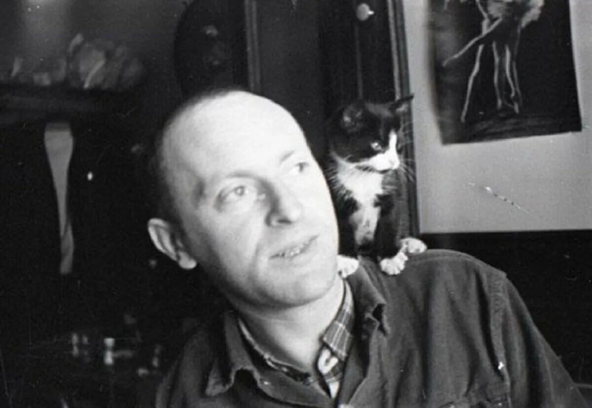 Кот бродского миссисипи. Кот бродского миссисипи. Бродский и миссисипи. Кот иосиф. Кот похожий на сталина.