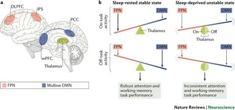 Sleep functions