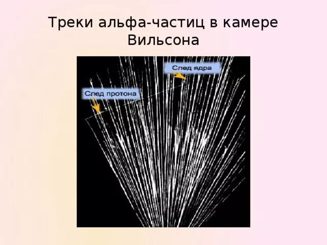 Треки частиц в камере Вильсона. Альфа частицы в камере Вильсона. Треки Альфа частиц в камере Вильсона. Треки частиц в камере Вильсона электрон. Рассмотрите фотографию треков а частиц