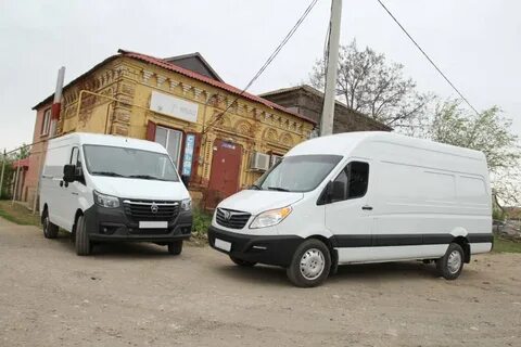 Газель атлант