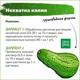 Неправильные формы огурцов
