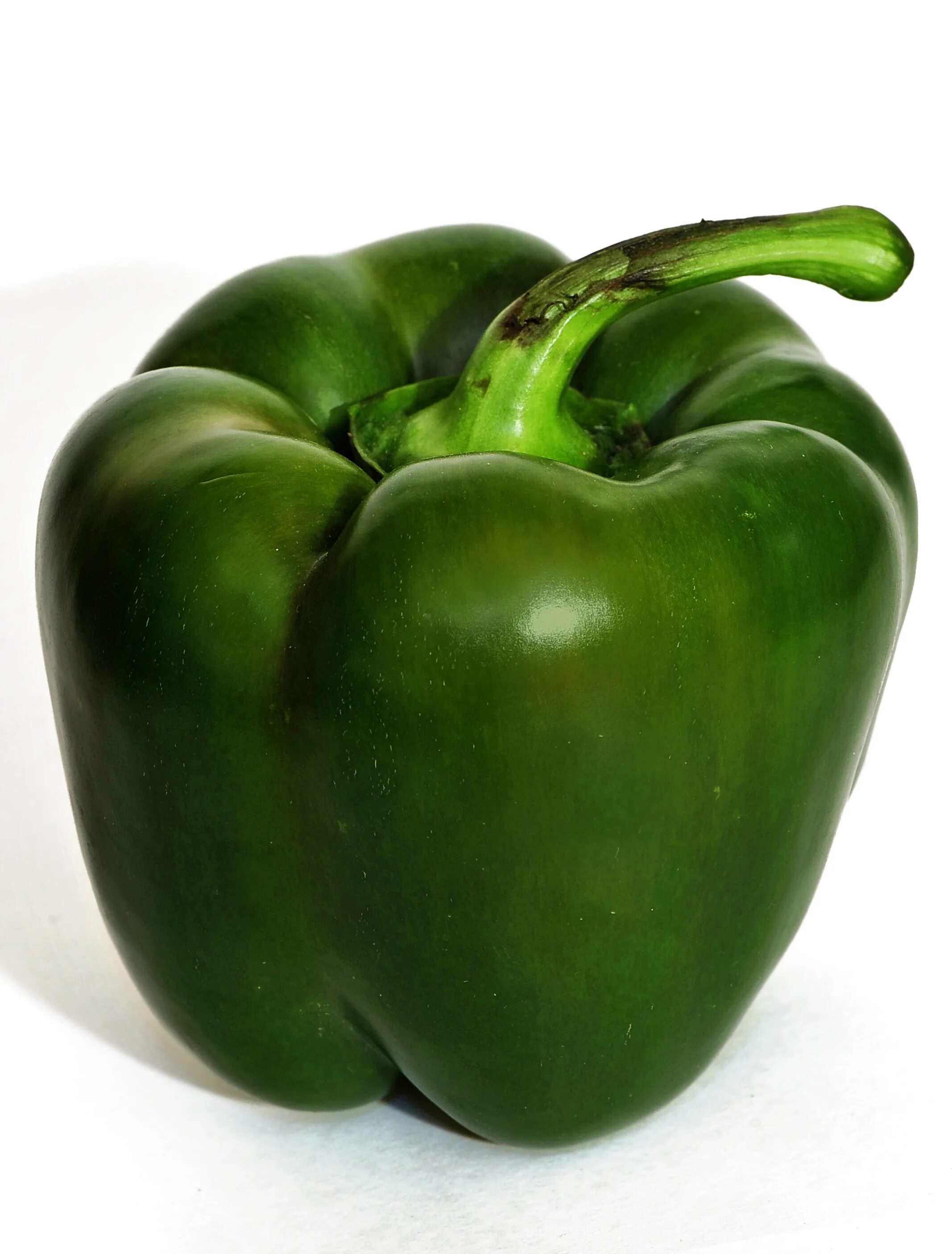 Capsicum. Перец иланга. capsicum картинки. capsicum album. oz capsicum.