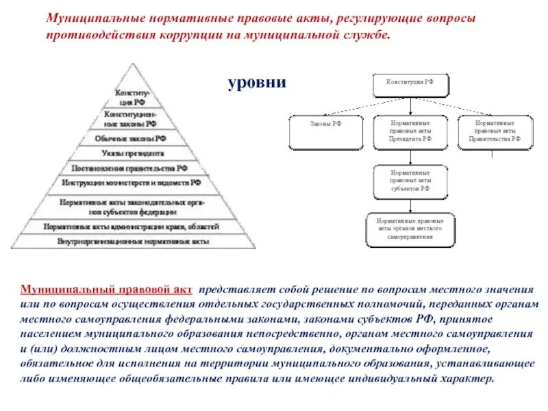 Качество муниципальных нормативных правовых актов