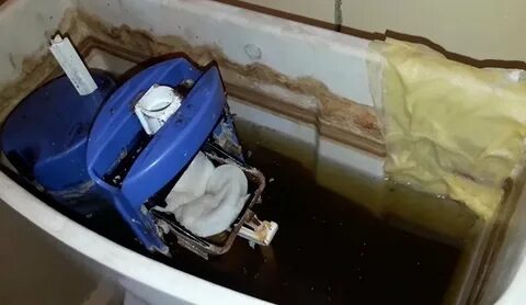 Чем очистить ржавый унитаз