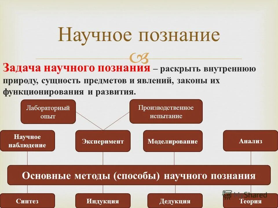 Что относится к научному знанию. Научное познание. Научное познание Обществознание. Кластер «научное познание». Виды научного познания Обществознание.