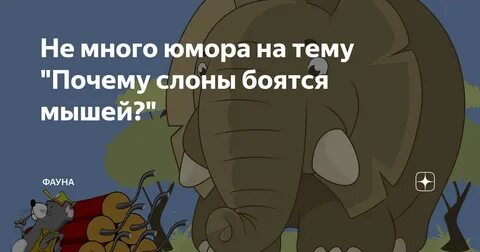 Слоны боятся мышей