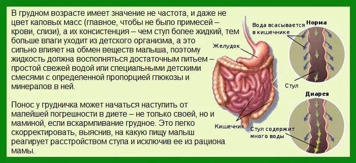 Сколько лет поносу. Каловые массы в организме. Какого цвета должен быть кишечник. Нормальная окраска каловых масс.