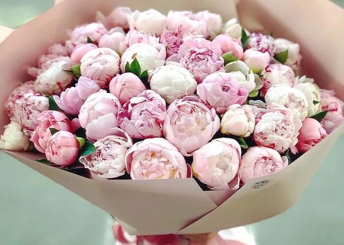 Цветы, как люди, на добро щедры и, людям нежность отдавая... Hydrangea flower ar