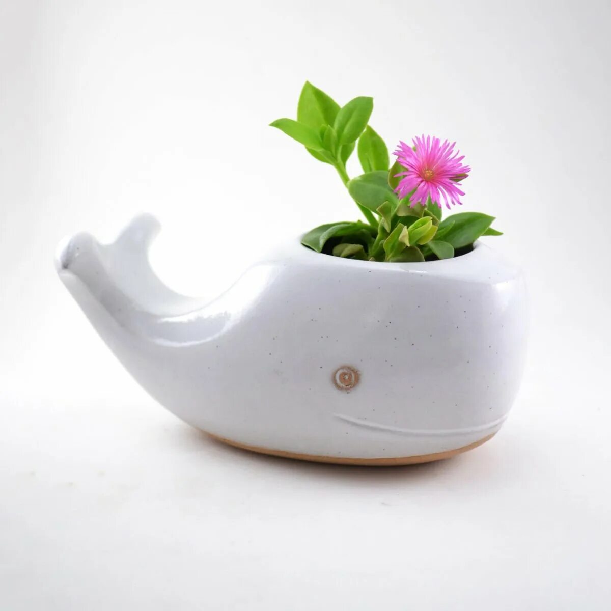 Валберис горшочек. Маленькие горшки для цветов. Валберис горшочек. Валберис горшочек. 3 см v5.