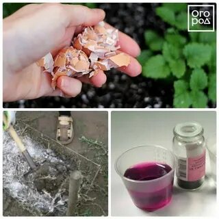 Марганцем полить